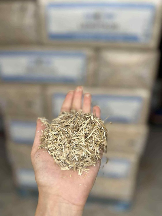 próbka ściółki.jpg