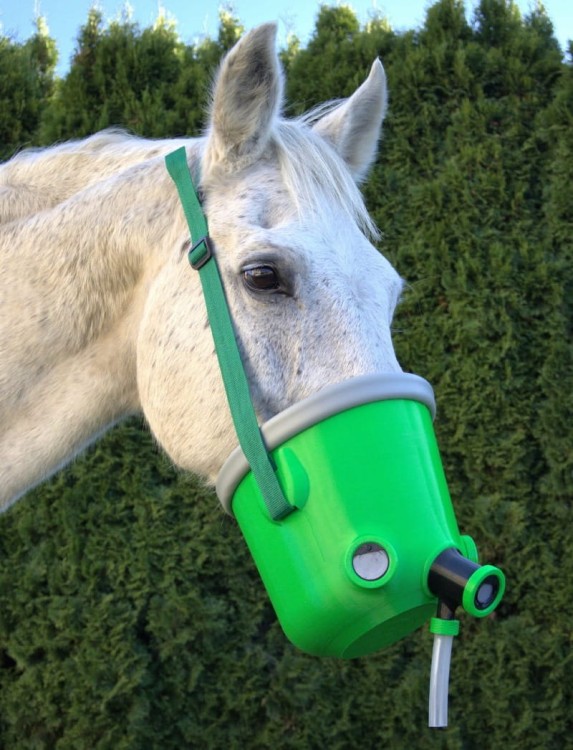 Maska do inhalacji dla koni z copd rao i astmą