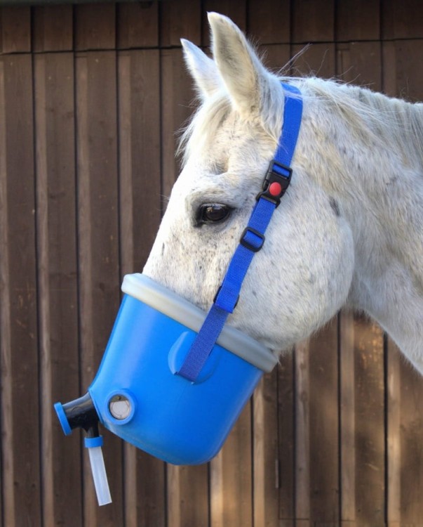 Maska do inhalacji dla koni niebieska, terapia dla koni kaszlących.