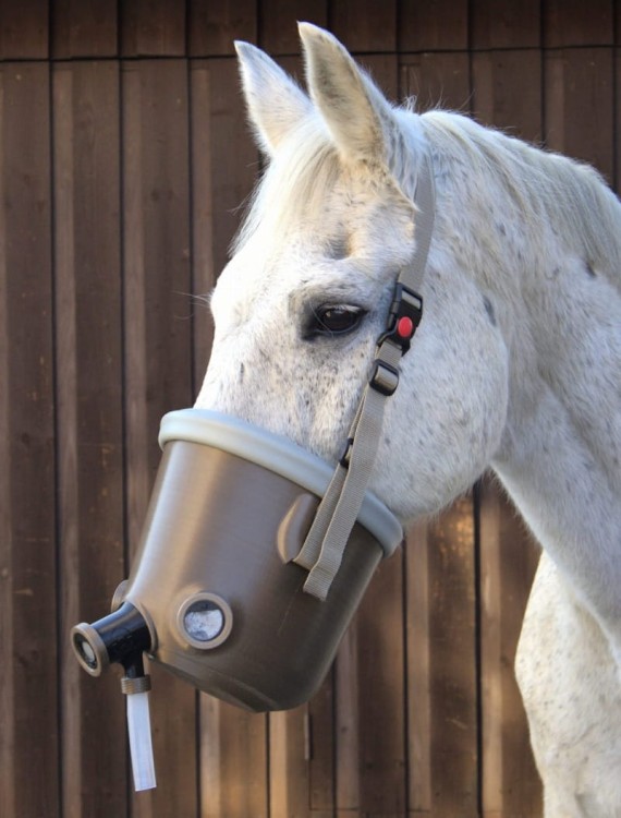 Brązowa maska do inhalacji dla koni, dla konia - do podawania leków, soli, sterydów.