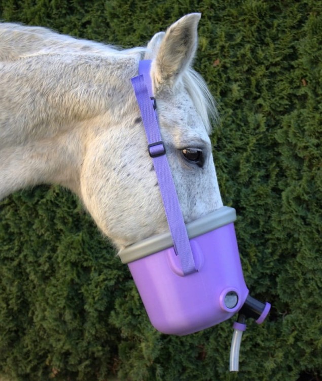 Maska dla konia do terapii oddechowej, inhalator, nebulizator dla koni