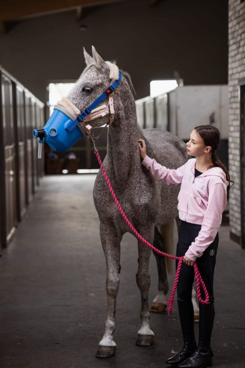 Jeździec ze swoim koniem podczas inhalacji maską dla koni Cre-Mist.