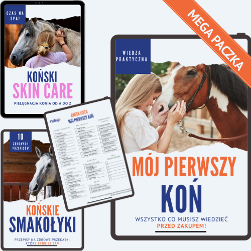 Paczka ebooków od Gallop Zone