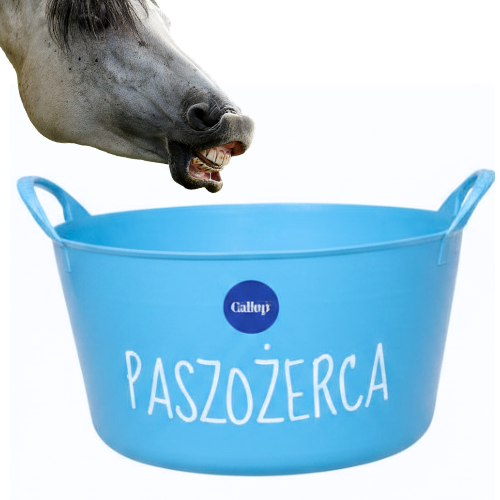 Miska Paszożerca niebieska