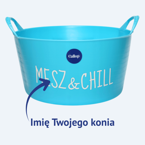Miska z imieniem konia/kucyka