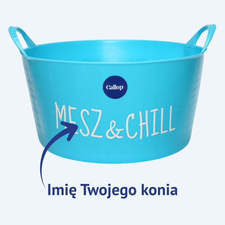 Miska z imieniem konia/kucyka
