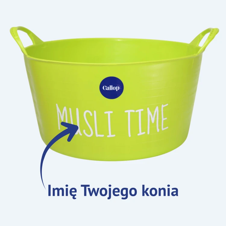 Pistacjowa miska dla konia