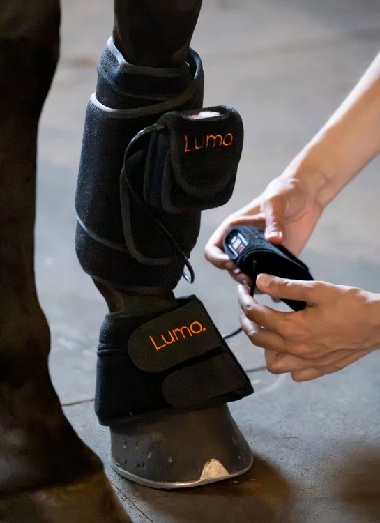 Pad Lumo terapia światłem czerwonym LED dla koni