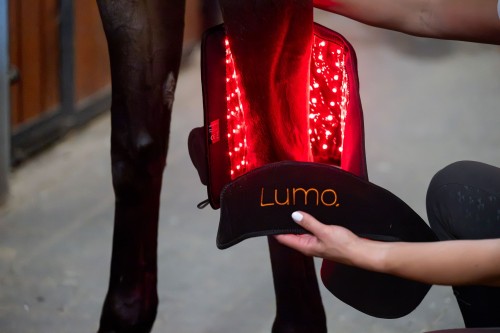 Lumo - Pad XL